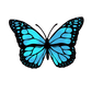 butterfly waterproof sticker