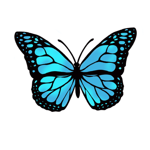 butterfly waterproof sticker